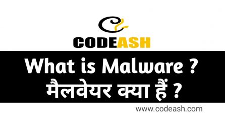 What is Malware in Hindi