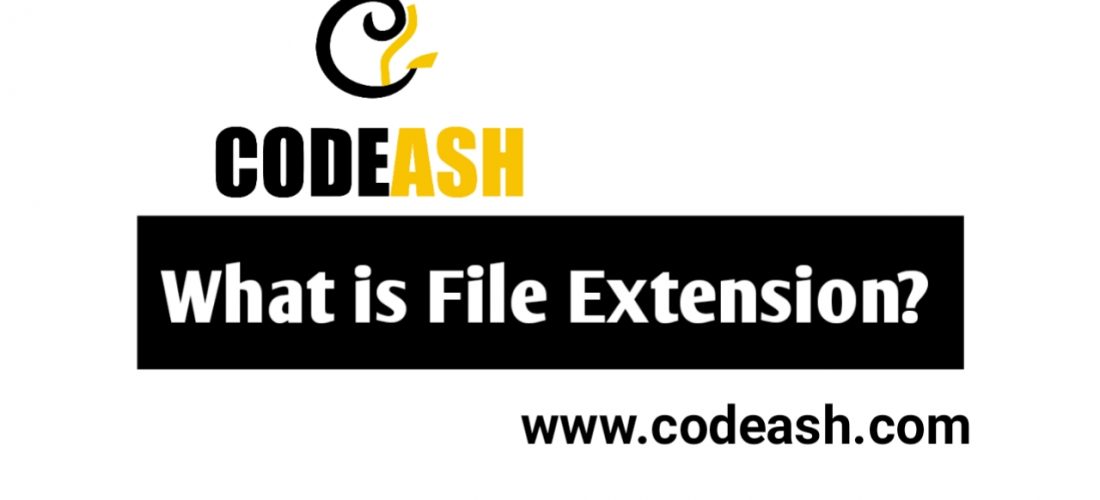What is File Extension?